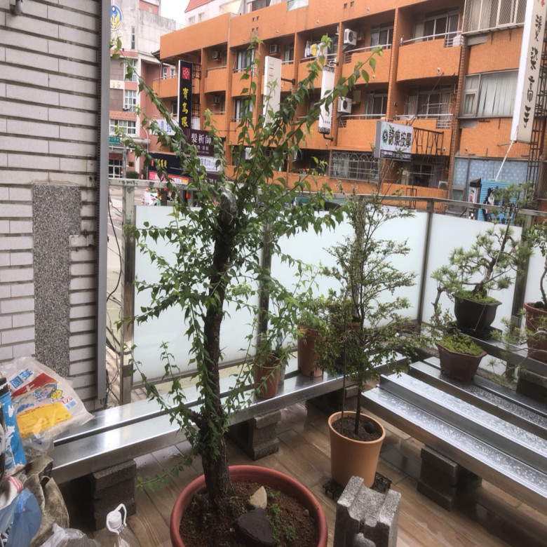 台中-透天陽台園藝佈置 