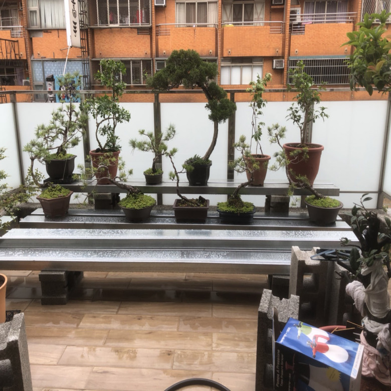 台中-透天陽台園藝佈置 
