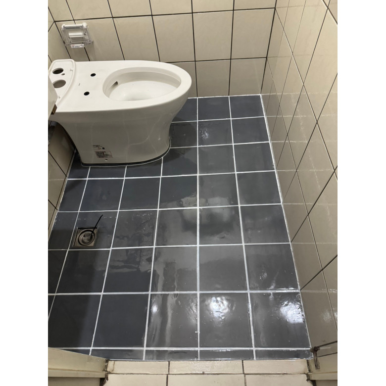 R956亮磁漆實際案例